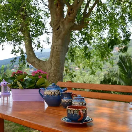 Haus Gaia Raša